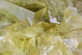 Lustrous Yellow Cubic Fluorite Crystal Cluster - Morocco #104607-2